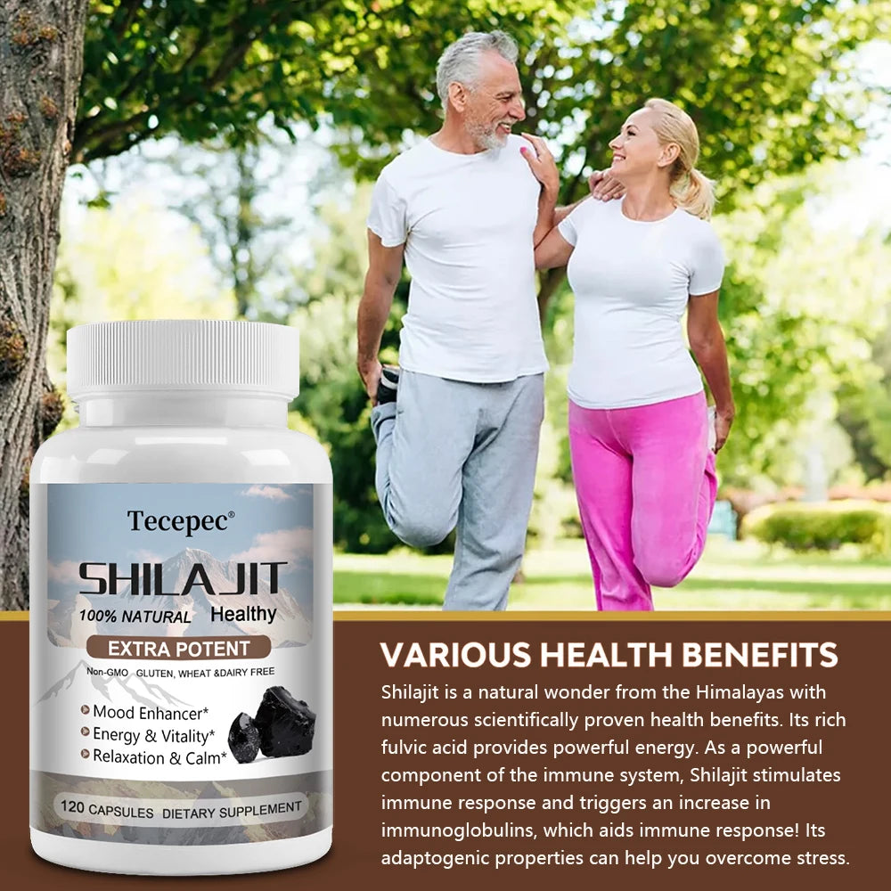 Shilajit Supplement - Rich in trace minerals and fulvic acid for energy, digestion, skin and immunity, endurance